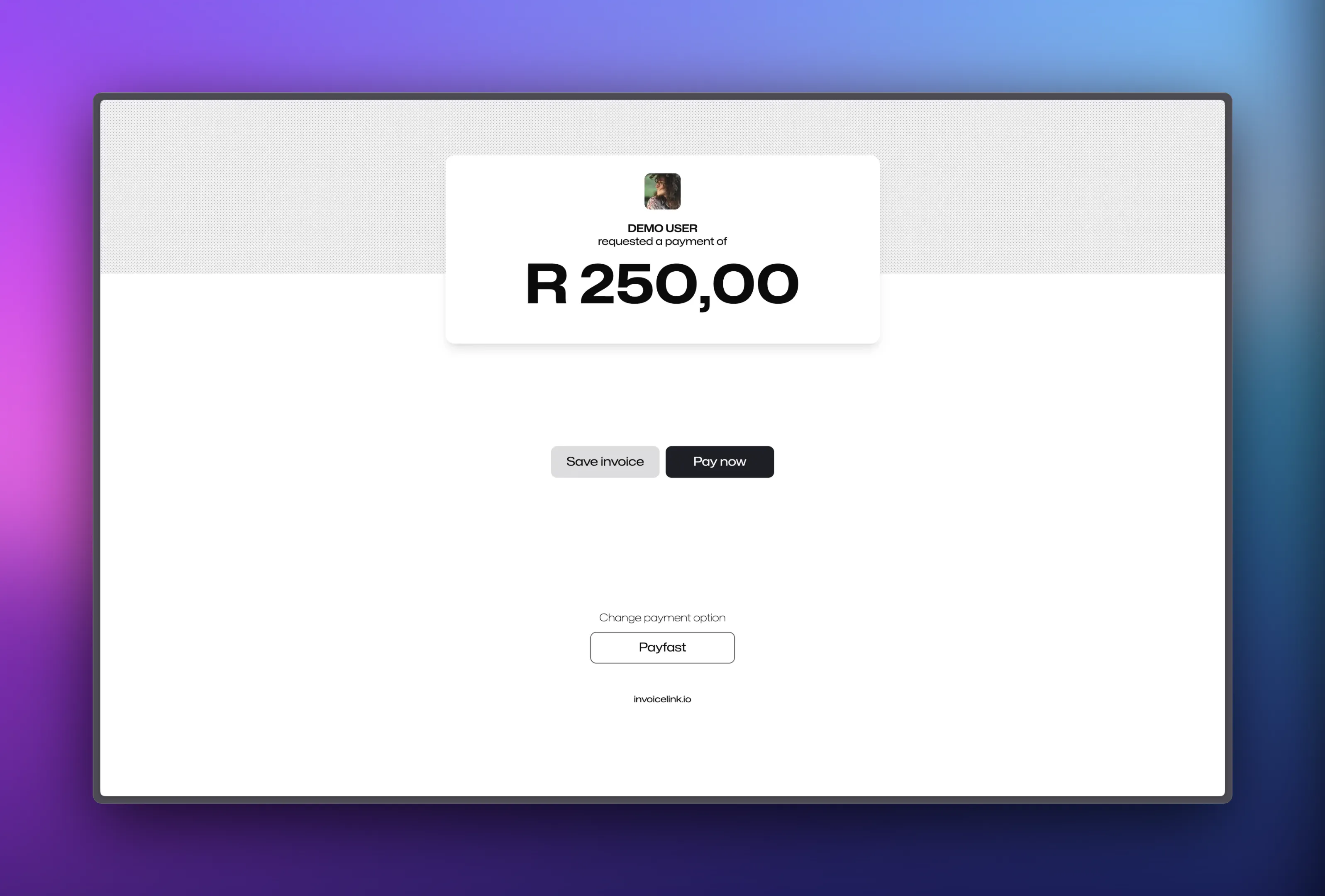 Screenshot of Demo payment page